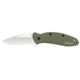 Kershaw Scallion Assisted Opening Folding Knife, 2.4in, 420HC, Drop Point Blade, 6061-T6 Aluminum, Olive Handle, 1620OL
