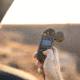 Kestrel 5700X WEZ Weather Meter w/Applied Ballistics, Flat Dark Earth, 0857XWLFDEM