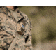 Kestrel Elite Weather Meter w/ Applied Ballistics w/Link, Flat Dark Earth, 0857ALFDE