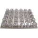 Labnet Platform With 20x125ml Flask Clamps I-5330-125