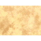 Lastolite 10x24 Washable Muslin Background, Arizona LLLB7854