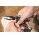 Leatherman Signal Folding Multi-Tool, Silver/ Black, 832623