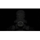 Leupold Freedom - RDS 1x34, 34mm Red Dot Sight, 223 BDC 1 MOA Dot Reticle, w/Mount, Black, 180093