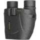 Leupold Rogue 10x25 Compact Porro Prism Waterproof Binoculars, Black 59225