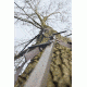 Lone Wolf Treestands Climbing Stick, 3 piece set, Gray CS3-3PC