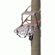 Lone Wolf Treestands Hand Climber Combo Tree Stand, Gray HCC II