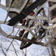 Lone Wolf Treestands Hand Climber Combo Tree Stand, Gray HCC II