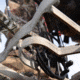 Lone Wolf Treestands Wide Flip Top Combo Tree Stand, Gray WFTC