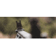 Magpul Industries Mbus Pro Front Flip Sight Blk MAG275