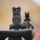 Magpul Industries MBUS Pro LR Top Mounted Deployable Rear Sight, Black, MAG527