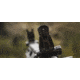 Magpul Industries Mbus Pro Rear Flip Sight Blk MAG276