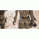 Magpul Industries Tejas Gun Belt, &quot;El Original&quot;, Light Brown, 36&quot; MPIMAG733-230-36