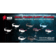 MCR Safety BearKat BK2 Series Safety Glasses, Soft Non-Slip Temple, Gray Lens/Black Frame, One Size, BK212