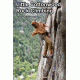 Media Little Cottonwood Rock Climbing 4 in 1 Volume