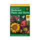 Medicinal Plants East &amp; Centr, Peterson Field Guide, Publisher - Houghton Mifflin