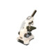 Meiji Techno MT-12 LED Monocular Entry-Level Compound Microscope, White MT-12
