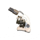 Meiji Techno MT-14 LED Binocular Entry-Level Compound Rechargeable Microscope, White MT-14