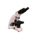 Meiji Techno MT-30 LED Binocular Advanced Biological Microscope, White MT-30