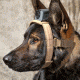 MOHOC K9 Mount, Black, One size fits all MH-K9BK