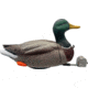Mojo Dabbler Duck W/Remote, HW2554