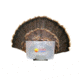 Mojo Fan Press Decoy 80394