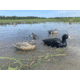 Mojo MOJO Coot Confidence Decoys