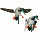 Mojo Super Mallard 80404