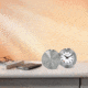 Mondaine Table Clock Travel Alarm, Silver, 50mm, MSM.64410