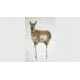 Montana Decoy Co. Antelope Decoy Combo