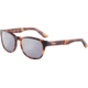 Morgan 207181 Bifocal Prescription Sunglasses, Brown Havana Frame, 207181-4103BI