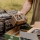 Moultrie Edge 2 1501785