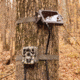 Moultrie Feeders 6V Feeder/Micro Camera Power Panel, MFA-15029