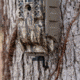 Moultrie Feeders EZ Tree Mount, Pack of 3, Black, MFHP12571