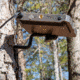 Moultrie Feeders EZ Tree Mount, Pack of 3, Black, MFHP12571
