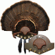 Mountain Mike's Beard Collector Turkey Plaque Kit