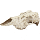 Mountain Mike's Natural Causes Skull Master W/positioner