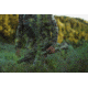 Mueller Optics 8-32x44 Side Focus Target Rifle Scope, Target Dot Reticle, Black, MU83244TD