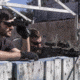 NEW Firefield Sightmark 3x Tactical Magnifier, Black for Weapon Sights SM19020