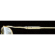 Nicole Miller Zipster SENM ZIPS00 Bifocal Prescription Eyeglasses - Gold Kiss SENM ZIPS004830 GO