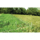 NTWS Hot Zone Deer Exclosure System