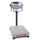Ohaus Scale Defen7000 250kgx0.02kg D71P250QX2, Unit EA