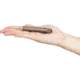 Olight i3T EOS Mini Flashlight Tan