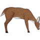 Oncore Targets Feeding Deer Self-Healing Archery Target, Small, Brown, White, D4A