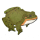 Oncore Targets Targets Frog Self-Healing Archery Target, Mini, Green, Small, FG2