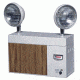 ORS Nasco Emergency Light W/battery 25 W 099-2SC6S20-25, Unit EA