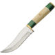 Pakistan Green Mosiac Hunter