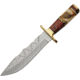 Pakistan Leaf Bowie