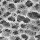 Pall Nylaflo Membrane Disc Filters, Pall Life Sciences 66607