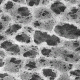 Pall Nylaflo Membrane Disc Filters, Pall Life Sciences 66610