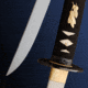 Paul Chen Raptor Wakizashi, Knife PC2422